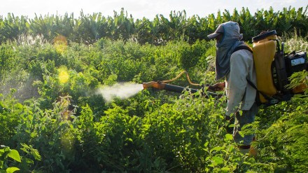 TERI, Indian agriculture, sustainability, water table, food production, gaseous emissions, Crop breeding, Nano Urea, green revolution