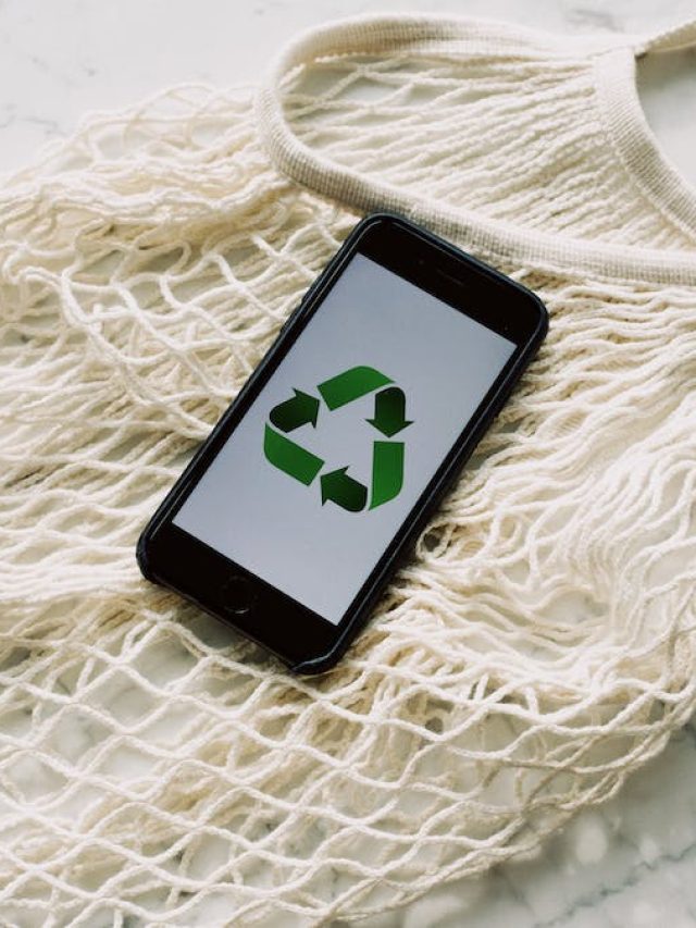 zed scheme, zero defect zero effect, msme ministry, sustainable manufacturing, women led msmes, zed certified msmes, net zero, carbon emission