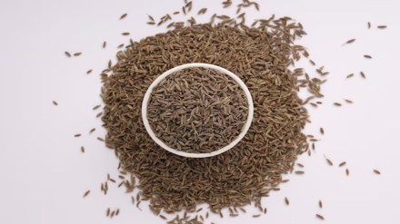 cumin seeds, cumin seeds prices, cumin seeds price drop, top news, latest news, business news,