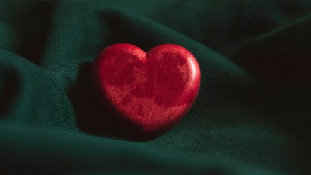 heart disease, heart, heart health, health news, Arrhythmia, Arrhythmia symptoms, what is Arrhythmia, Arrhythmia guide, heart attack heart disease, heart, heart health, health news, Arrhythmia, Arrhythmia symptoms, what is Arrhythmia, Arrhythmia guide, heart attack