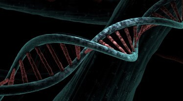 Sanofi to buy Inhibrx for .2 billion in rare disease push