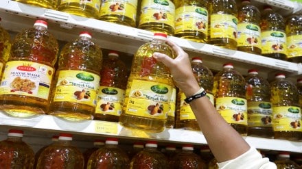 Import duty, edible oils, palm, soyabean, sunflower, sugar production, top news, latest news, business news,