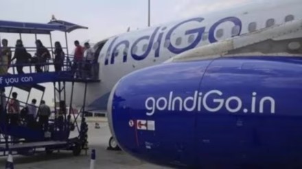 IndiGo, IndiGo news, fog, winter fog, aviation sector, aviation, IndiGo CEO, IndiGo flight delay