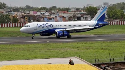 IndiGo, IndiGo news, IndiGo passengers, ranchi flight, indigo ranchi flight, mumbai indigo flight