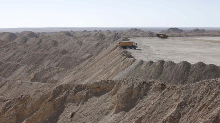 Avaada Energy, Green Ammonia, Gujarat, memorandum of understanding, renewable energy, top news, latest news, sustainibility news, Avaada Energy, Green Ammonia, Gujarat, memorandum of understanding, renewable energy, top news, latest news, sustainibility news,