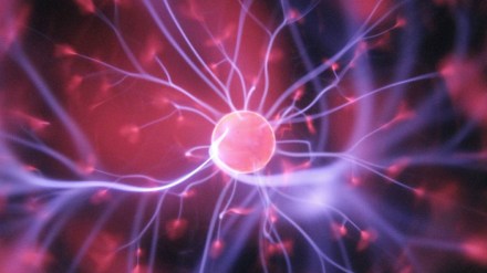 new discovery, science news, origin of life, discovery of life, human molecule, science studies