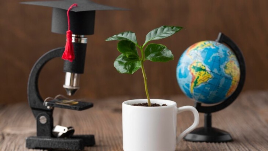 How the union budget can Influence the growth of the Indian education industry across borders.