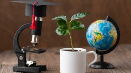 How the union budget can Influence the growth of the Indian education industry across borders.
