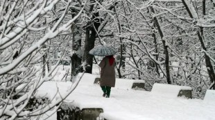 Light rainfall/snowfall excepted over Jammu and Kashmir, Ladakh, Uttarakhand and Himachal Pradesh on January 12 and 13 (Express Photo: Shuaib Masoodi)
