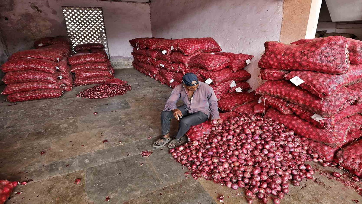 onion export ban, local prices fall, Maharashtra, Karnataka, top news, latest news, business news, onion export ban, local prices fall, Maharashtra, Karnataka, top news, latest news, business news,