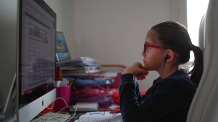 online education, student, books, online learning, education