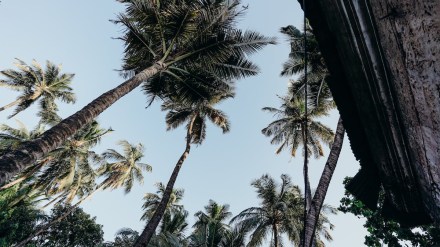 goa government, cgtmse, goa credit guarantee scheme, gcgs, msme loans, credit guarantee of msme loans, msme lenders, banks, women entrepreneurs, agniveers, sc-st entrepreneurs goa government, cgtmse, goa credit guarantee scheme, gcgs, msme loans, credit guarantee of msme loans, msme lenders, banks, women entrepreneurs, agniveers, sc-st entrepreneurs