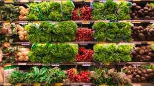 shilpa shetty, agritech, agri startups, farm to fork, fresh produce, farmer producer organisation, FPOs, Green Frontier Capital, GFC, HNIs, family offices, startup funding, venture capital