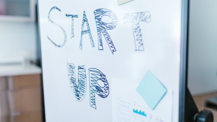 budget 2024, nirmala sitharaman, budget expectations, private equity, venture capital, pe-vc, capital A, growthpal, deloitte india, leo capital, tax, capital gains tax, innovation, startup funding