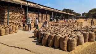 WTO, subsidy, grain purchase, trade distortion, global food crisis, export curbs, food security