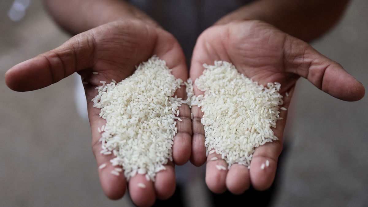 Bharat rice, Food Corporation of India, FCI, top news, latest news, business news, Bharat rice, Food Corporation of India, FCI, top news, latest news, business news,