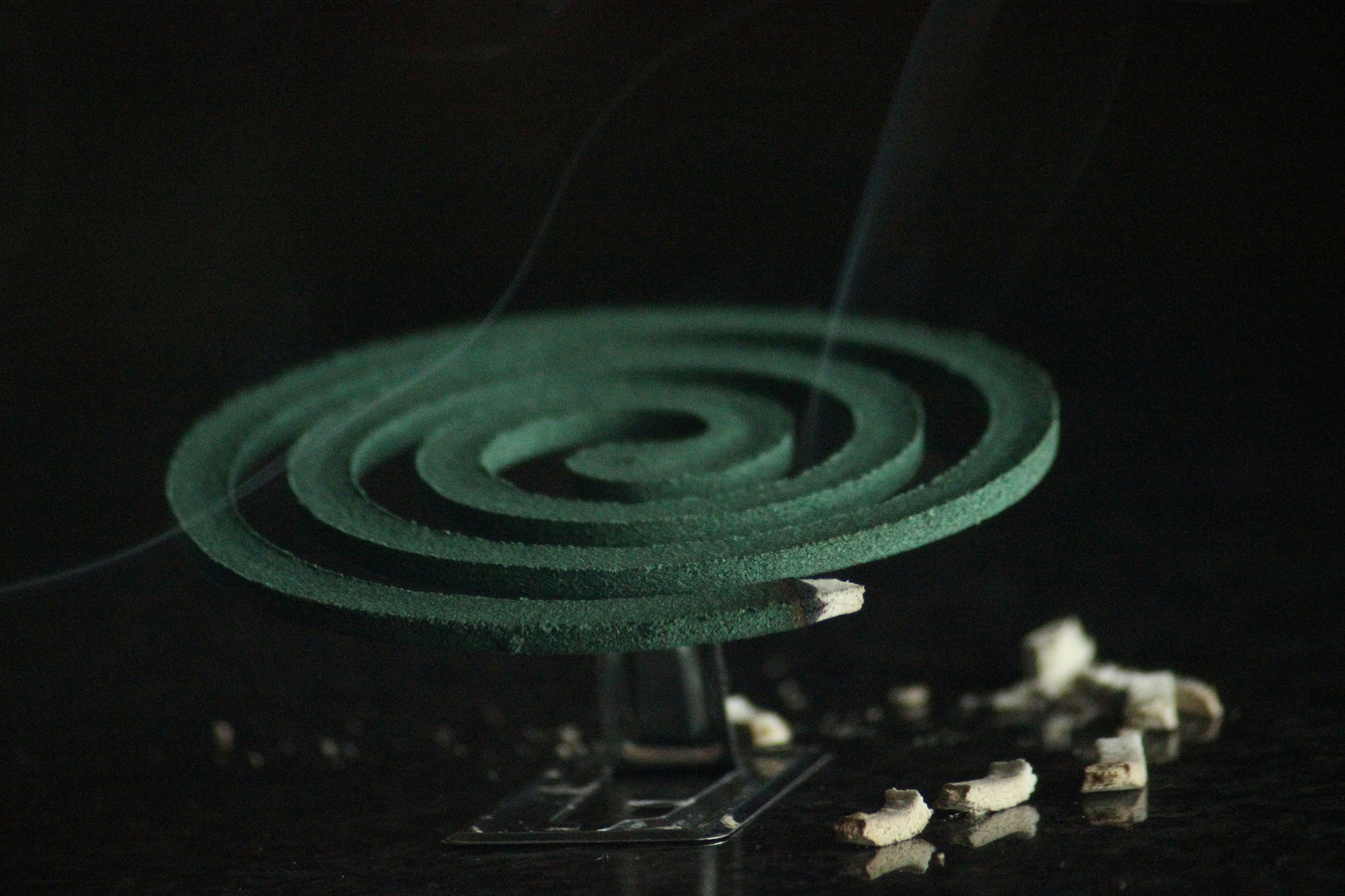 argentine, WEEV, argentina, WEEV, who, WEEV who, WEEV virus, virus, argentina virus, healthcare news