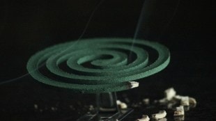 argentine, WEEV, argentina, WEEV, who, WEEV who, WEEV virus, virus, argentina virus, healthcare news