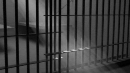 Hizbul Mujahideen , Hizbul Mujahideen news, India news, Al Badr, Delhi Police's Special Cell