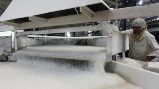 sugar companies, sugar prices, sugar production, sales volume, capacity expansion, profitability, export, policy support