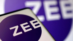 ZEE merger, Zee NCLT, Zee shareholders, industry news, financial express news