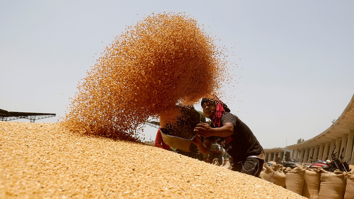 India's wheat output may touch new record of 114 million tonnes in 2023 ...