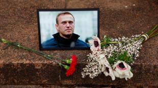 russia, russia politics, Alexei Navalny, Russian President Vladimir Putin, world news