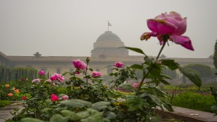 Mughal Gardens, Amrit Udyan, Amrit Udyan metro route, DMRC
