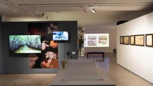 travelling exhibition, art exhibition, lifestyle