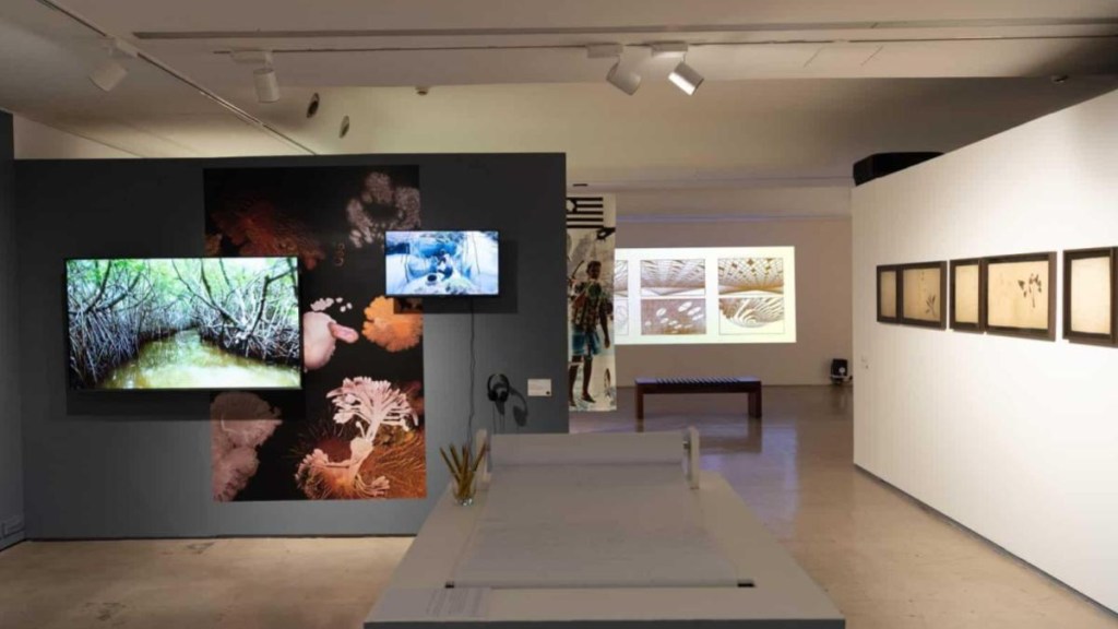 travelling exhibition, art exhibition, lifestyle