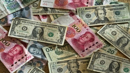 Currency notes