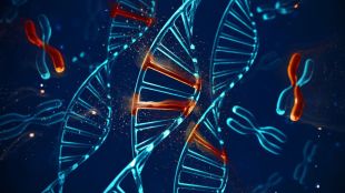 Understanding female X chromosome management reveals proneness to disorders