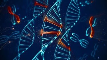 Understanding female X chromosome management reveals proneness to disorders