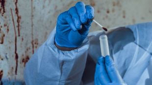 Forensic science, microbial evidence, time of death, decomposition, Colorado State University, Nature Microbiology, ecological research, molecular analysis