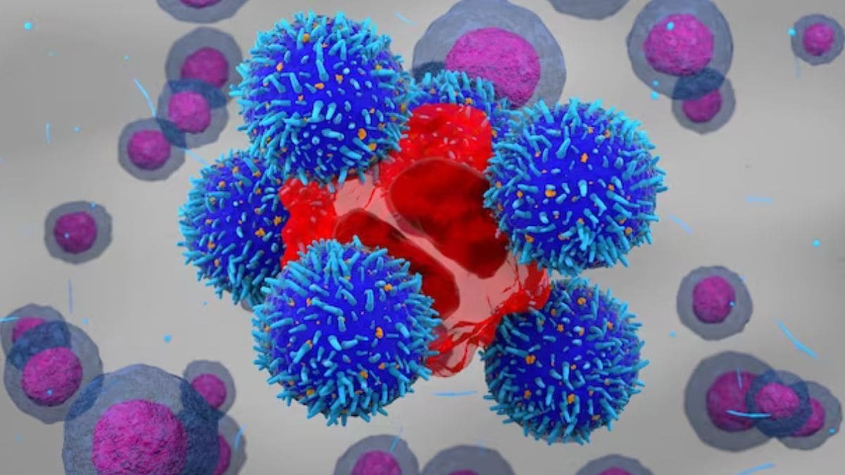 Genetic modification of T cells targets cancer in CAR-T therapy.