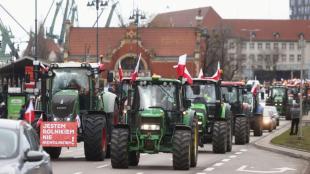 farmers protest, farmer protest in europe, eu farmer protest, world news
