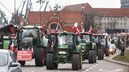 farmers protest, farmer protest in europe, eu farmer protest, world news
