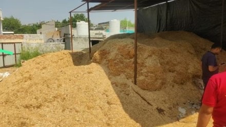 Forty-metre tunnel, two months of prep: How accused robbed Indian Oil worth crores for weeks in Gujarat