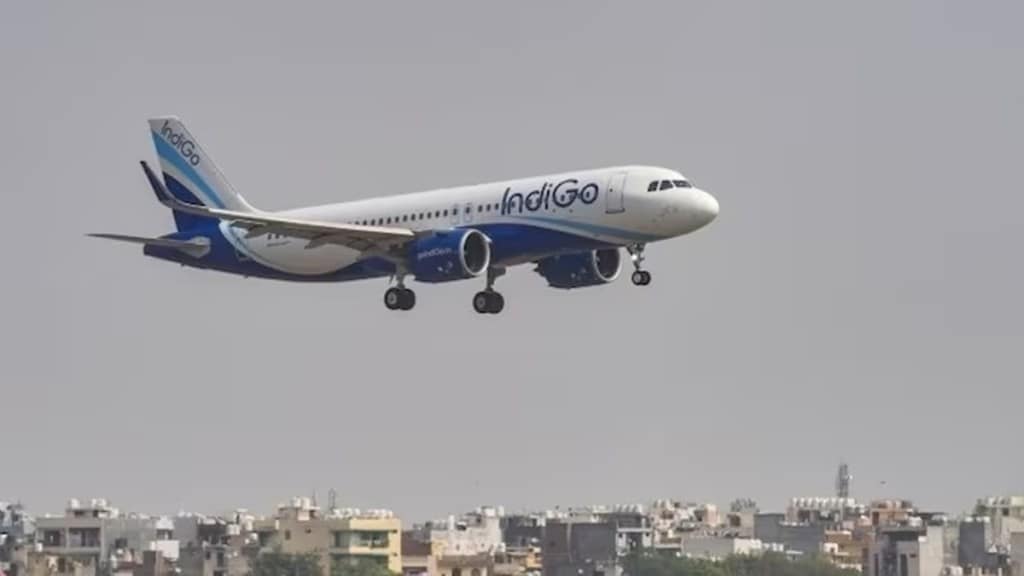 Peermohamed further emphasized IndiGo's commitment to delivering unparalleled travel experiences for its customers. (Representational Image: PTI)
