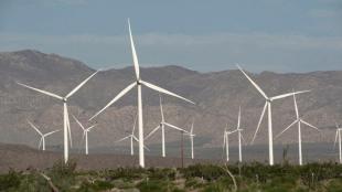 The company is looking at a topline of around Rs 5,000 crore in FY25, almost 2.8 times more than it posted in FY24, he said.