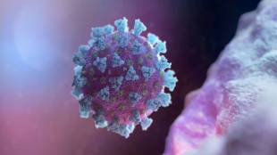 covid, covid symptoms, long covid, covid impact, covid tests, healthcare news, covid news,