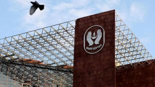 lic, life insurance corporation, investors, domestic investors, mutual funds