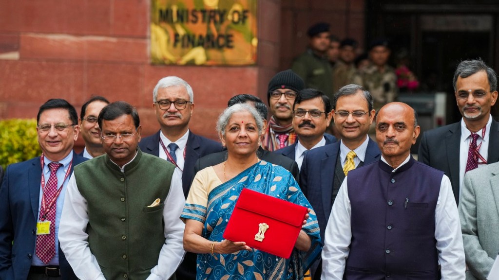 Finance Minister, Nirmala Sitharaman, interim Budget, RBI, top news, latest news, business news,