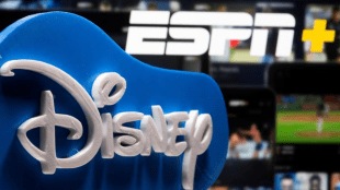 Fubo, a sports-focused streaming service, called for scrutiny of the new joint venture shortly after it was announced