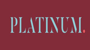 Platinum Industries logo