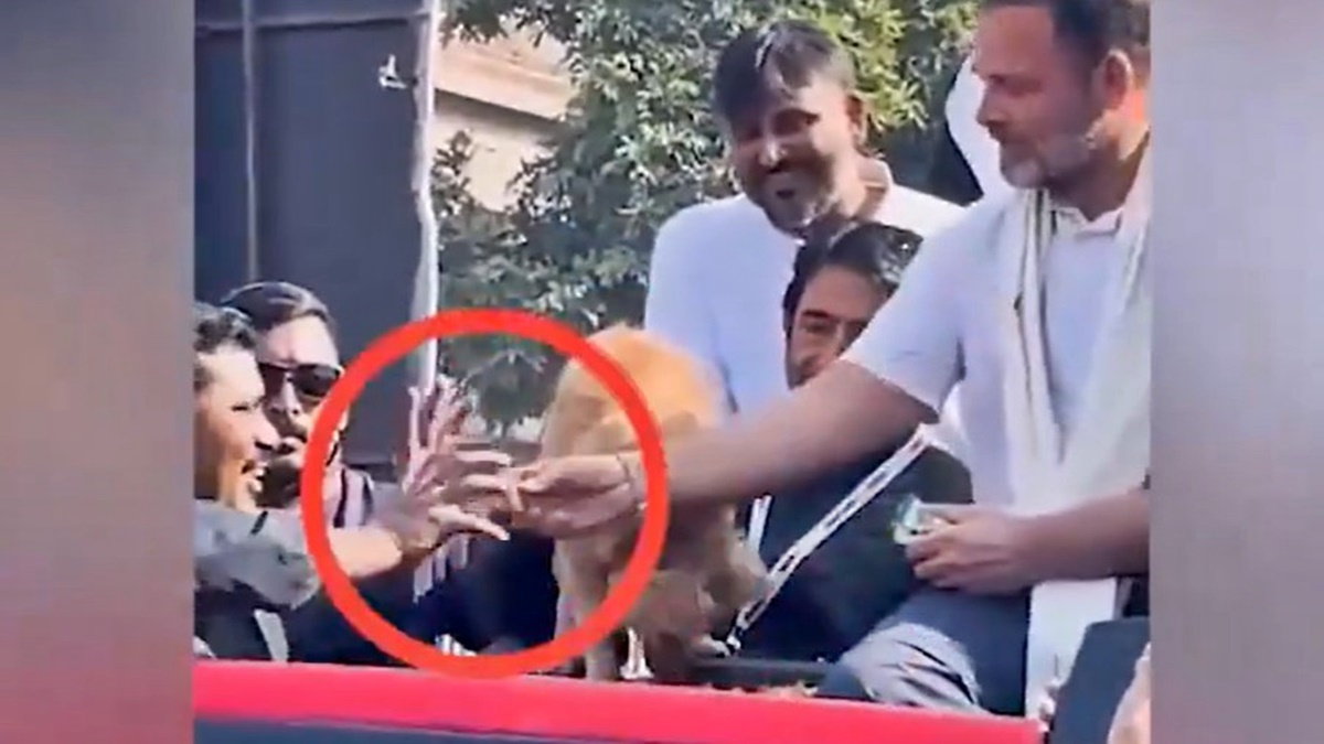 BJP, Himanta Sarma's swipe at Rahul Gandhi over dog's biscuit row BJP, Himanta Sarma's swipe at Rahul Gandhi over dog's biscuit row