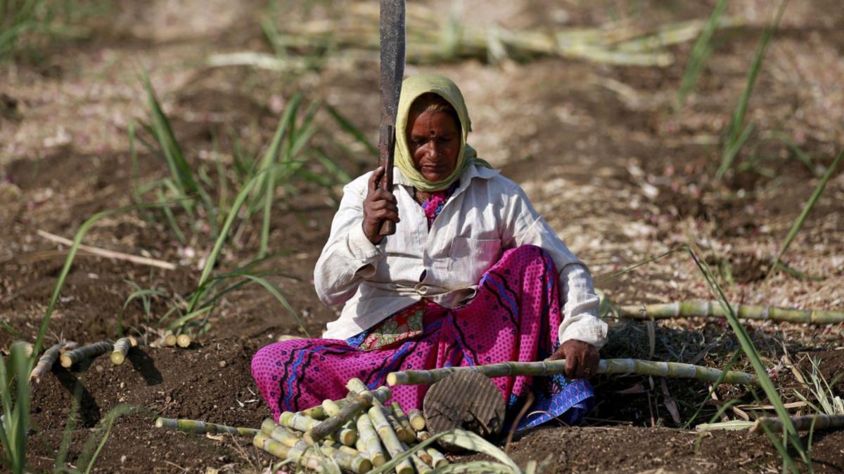 frp, sugarcane frp, Cabinet Committee on Economic Affairs, narendra modi