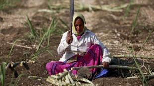 frp, sugarcane frp, Cabinet Committee on Economic Affairs, narendra modi