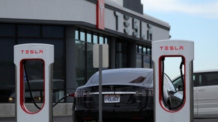 Elon Musk, ELon Musk news, ELon Musk latest news, Tesla, Tesla news, Tesla latest news