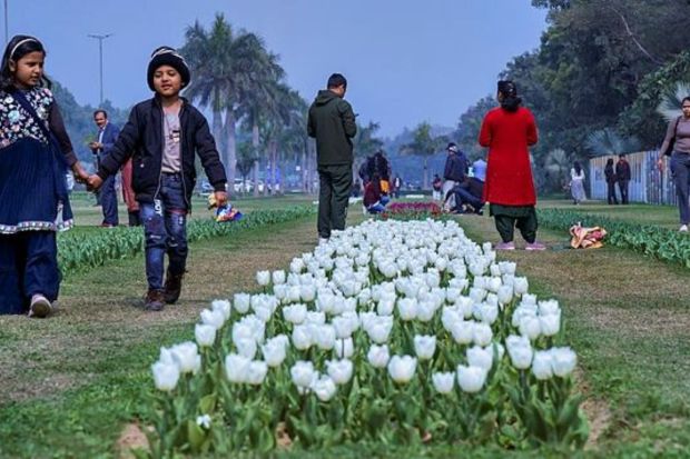 With a commitment to environmental consciousness, the Delhi Tulip Festival organizers have implemented waste management strategies and encourage visitors to adopt responsible waste disposal practices. (PTI Photo)